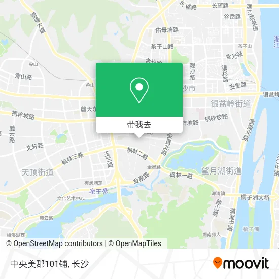 中央美郡101铺地图