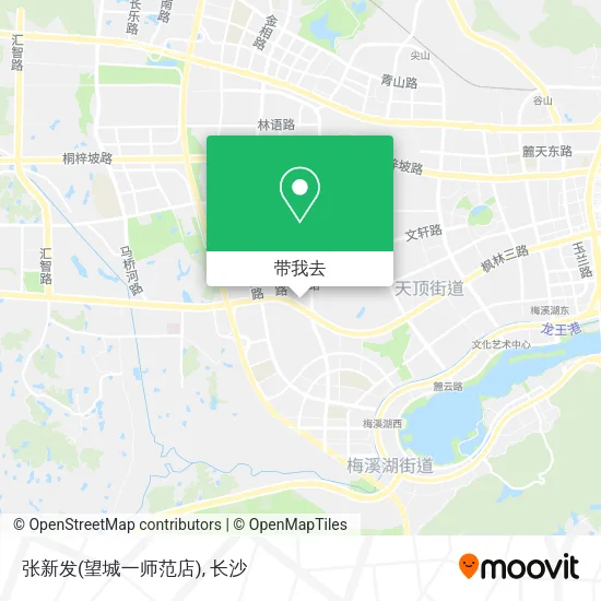 张新发(望城一师范店)地图