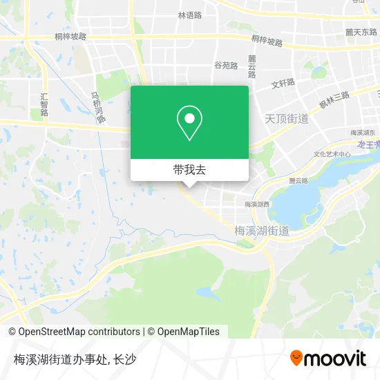 梅溪湖街道办事处地图