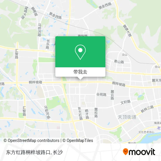 东方红路桐梓坡路口地图