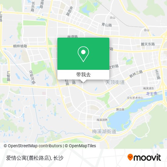 爱情公寓(麓松路店)地图