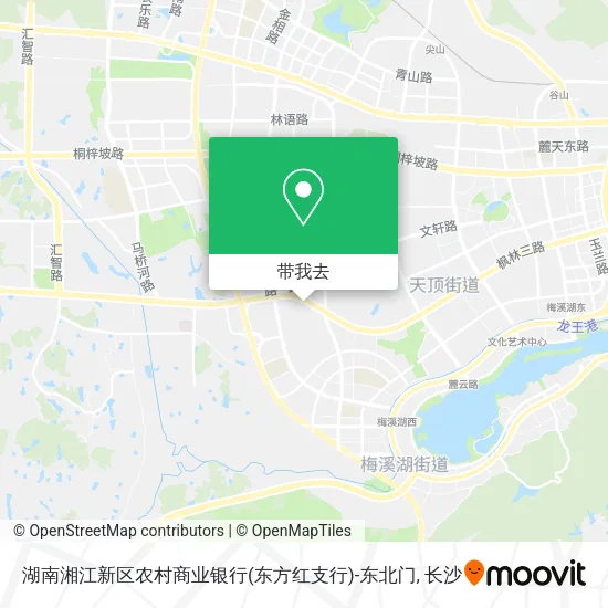湖南湘江新区农村商业银行(东方红支行)-东北门地图