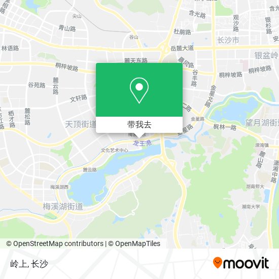 岭上地图
