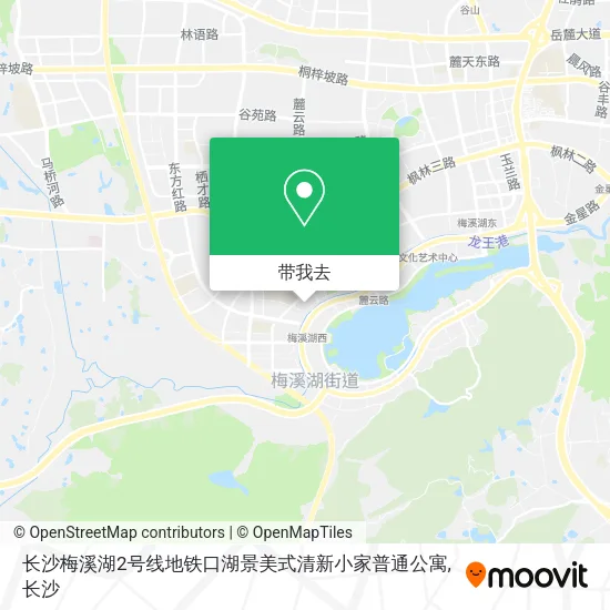 长沙梅溪湖2号线地铁口湖景美式清新小家普通公寓地图