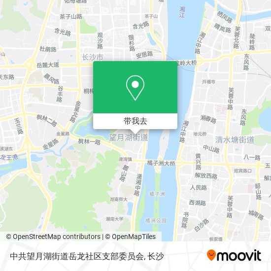 中共望月湖街道岳龙社区支部委员会地图