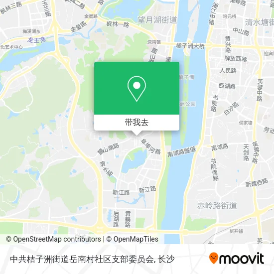 中共桔子洲街道岳南村社区支部委员会地图