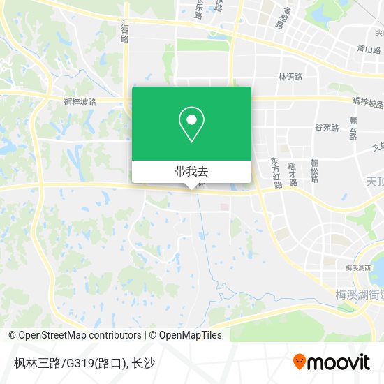 枫林三路/G319(路口)地图