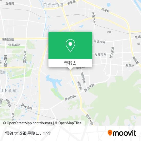 雷锋大道银星路口地图
