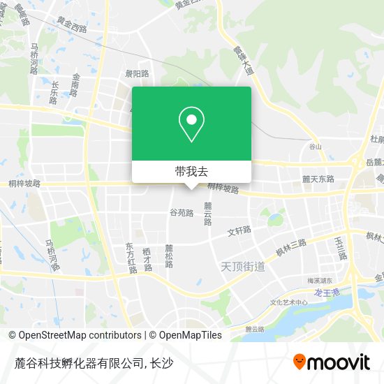 麓谷科技孵化器有限公司地图