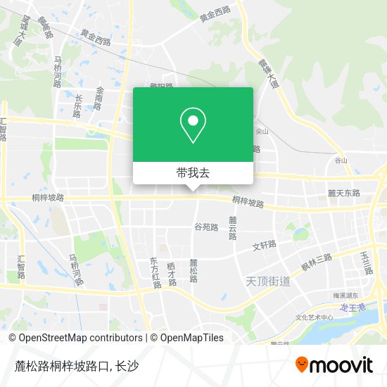 麓松路桐梓坡路口地图