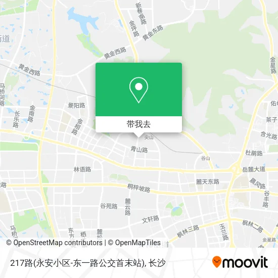 217路(永安小区-东一路公交首末站)地图