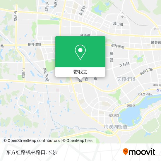 东方红路枫林路口地图