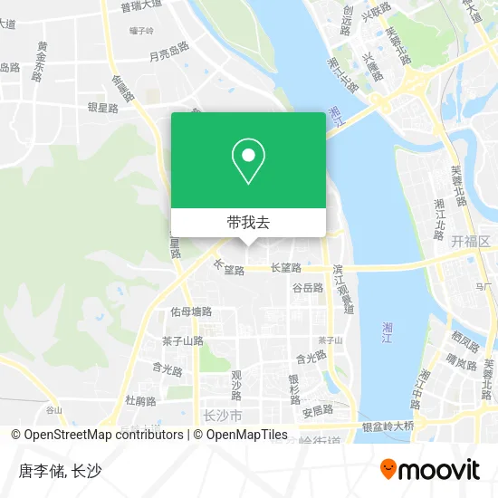 唐李储地图