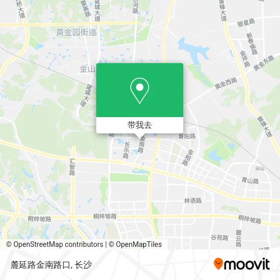 麓延路金南路口地图