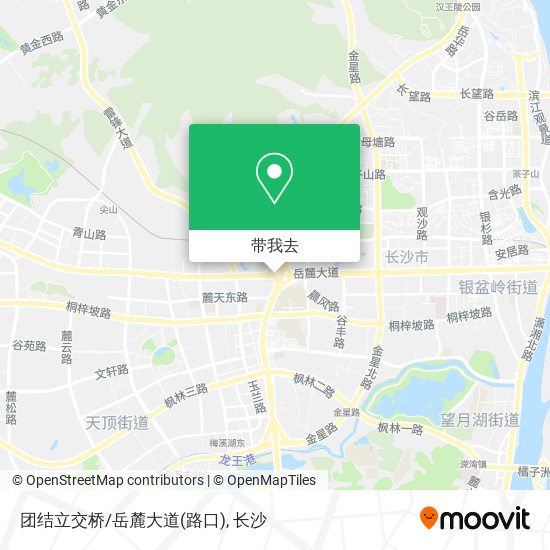 团结立交桥/岳麓大道(路口)地图
