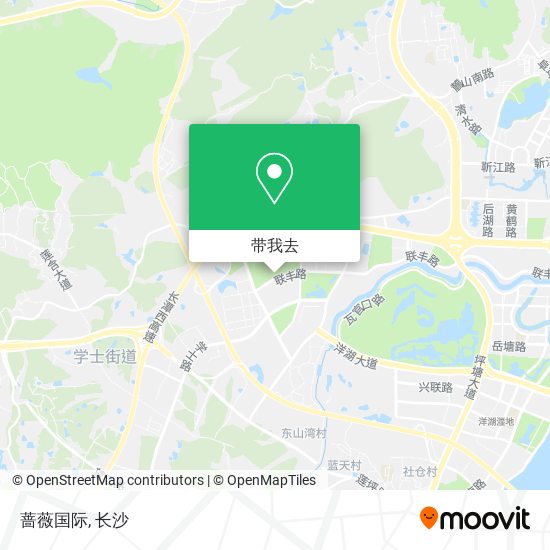 蔷薇国际地图