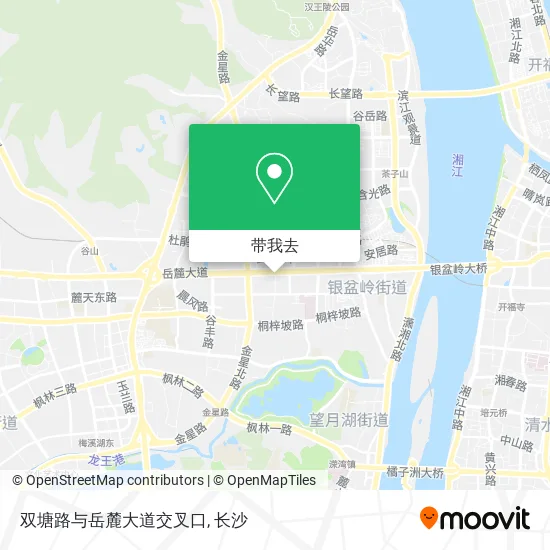 双塘路与岳麓大道交叉口地图