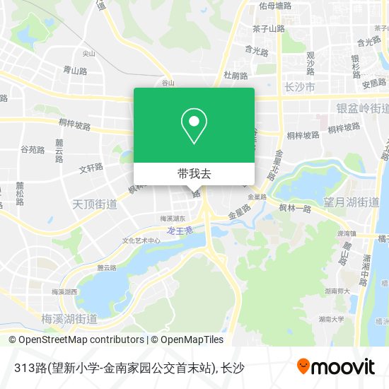 313路(望新小学-金南家园公交首末站)地图