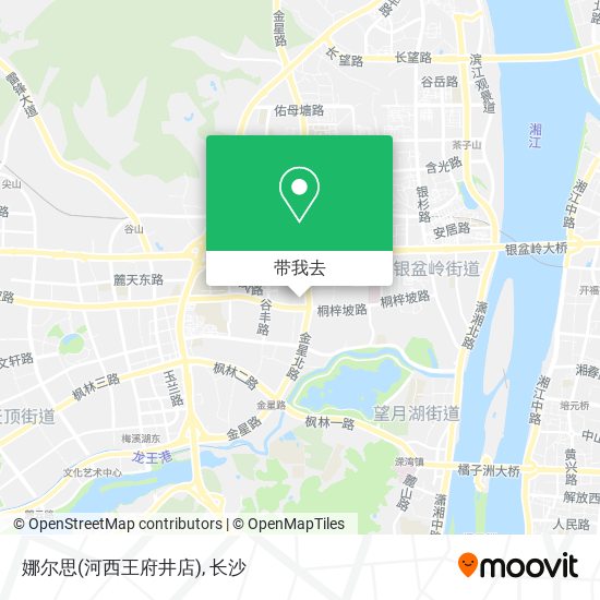 娜尔思(河西王府井店)地图