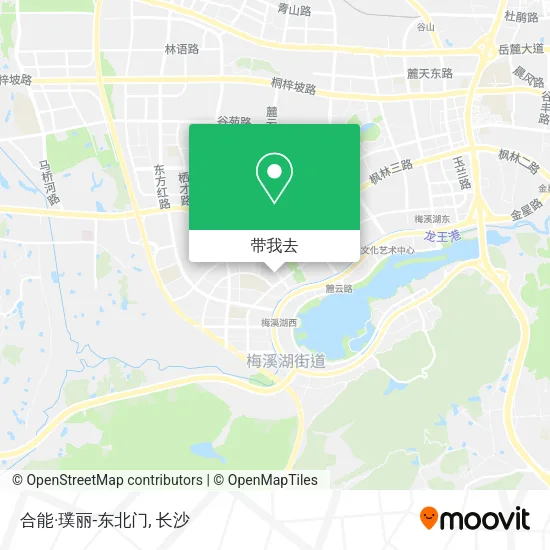 合能·璞丽-东北门地图