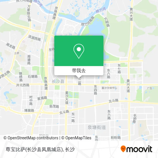 尊宝比萨(长沙县凤凰城店)地图