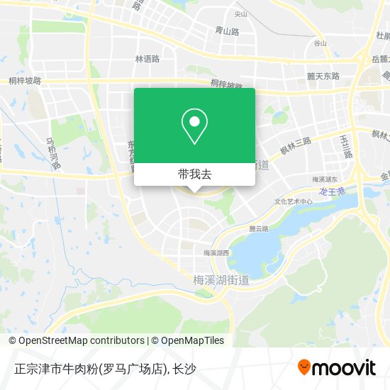 正宗津市牛肉粉(罗马广场店)地图