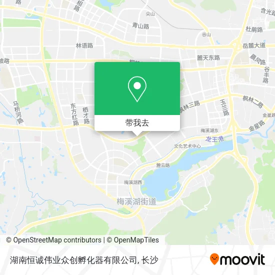 湖南恒诚伟业众创孵化器有限公司地图