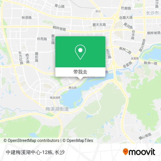 中建梅溪湖中心-12栋地图