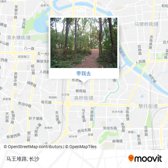 马王堆路地图