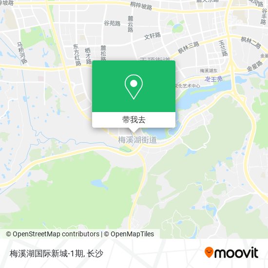 梅溪湖国际新城-1期地图