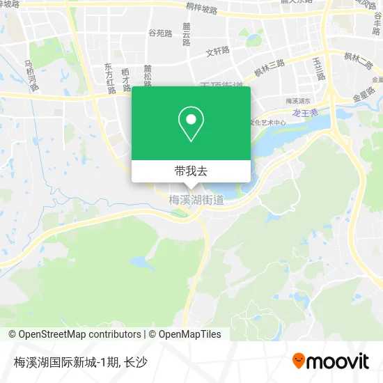 梅溪湖国际新城-1期地图