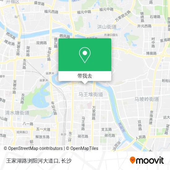 王家湖路浏阳河大道口地图