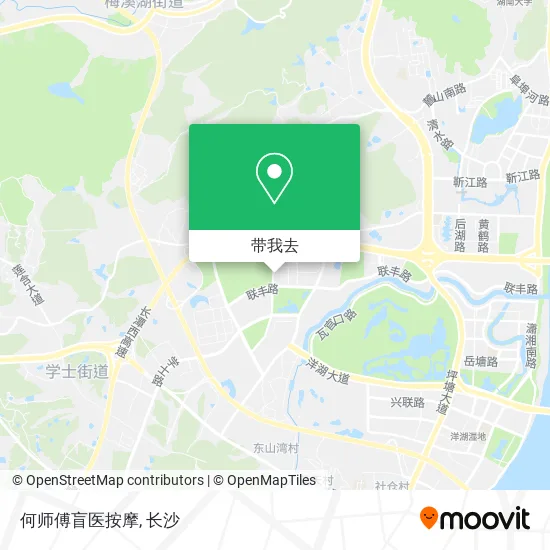 何师傅盲医按摩地图