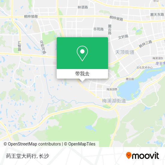 药王堂大药行地图