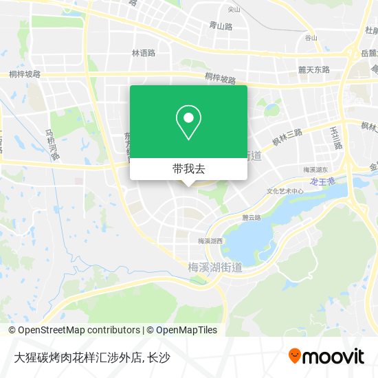 大猩碳烤肉花样汇涉外店地图