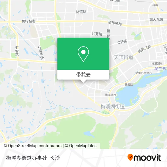 梅溪湖街道办事处地图