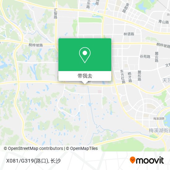 X081/G319(路口)地图