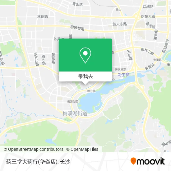 药王堂大药行(华焱店)地图