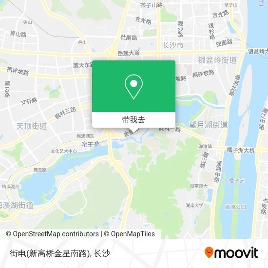 街电(新高桥金星南路)地图