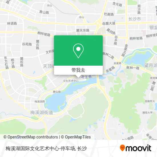 梅溪湖国际文化艺术中心-停车场地图