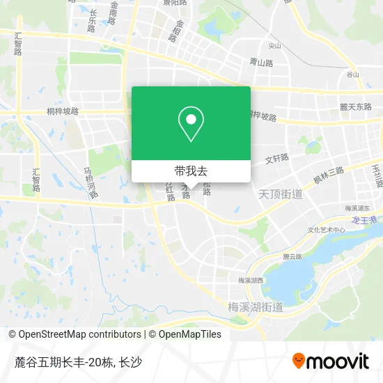 麓谷五期长丰-20栋地图