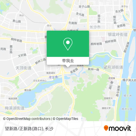 望新路/正新路(路口)地图