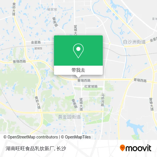 湖南旺旺食品乳饮新厂地图