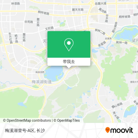 梅溪湖壹号-A区地图