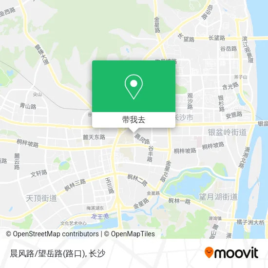 晨风路/望岳路(路口)地图