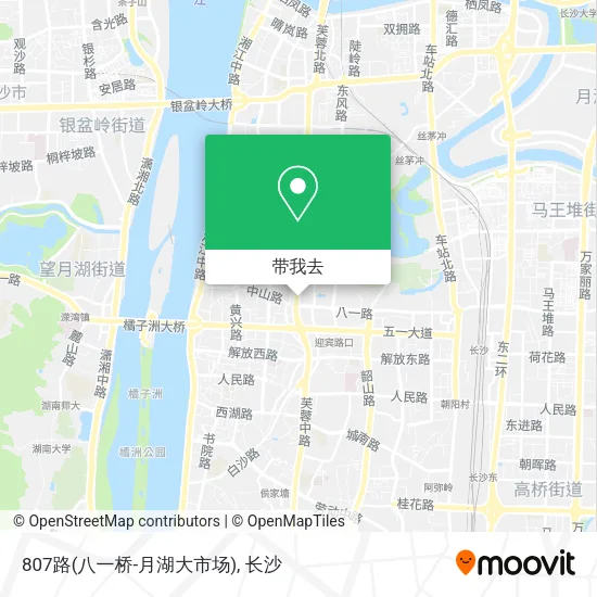 807路(八一桥-月湖大市场)地图