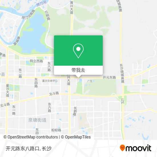 开元路东八路口地图