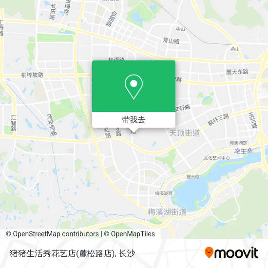 猪猪生活秀花艺店(麓松路店)地图