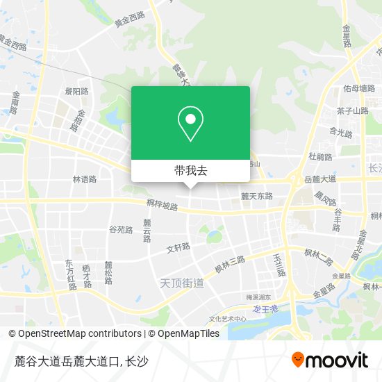 麓谷大道岳麓大道口地图