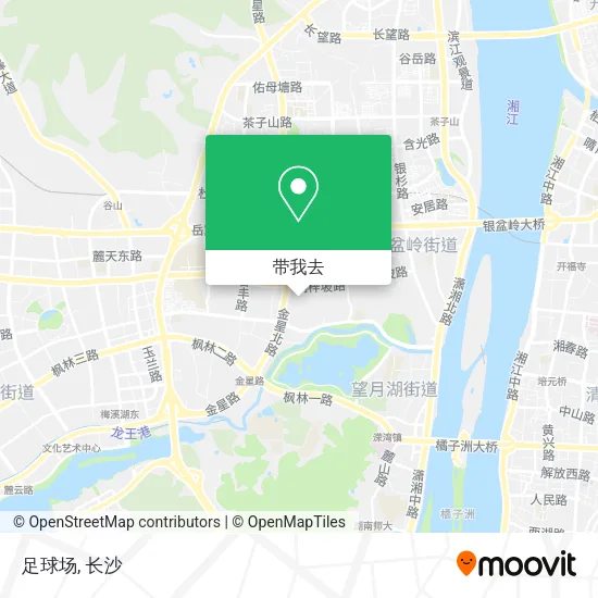足球场地图